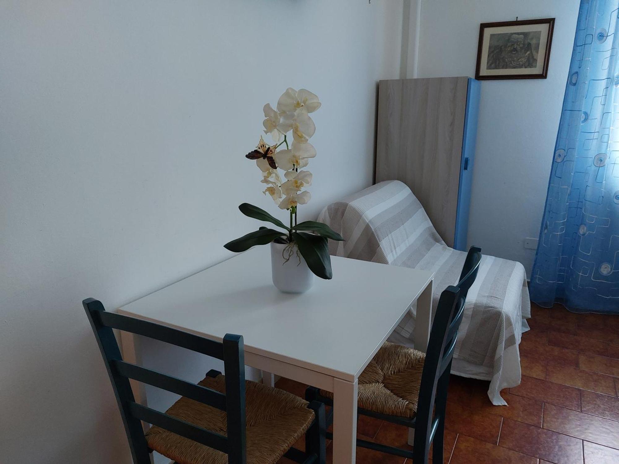 B&B Soleluna Pisa Dış mekan fotoğraf