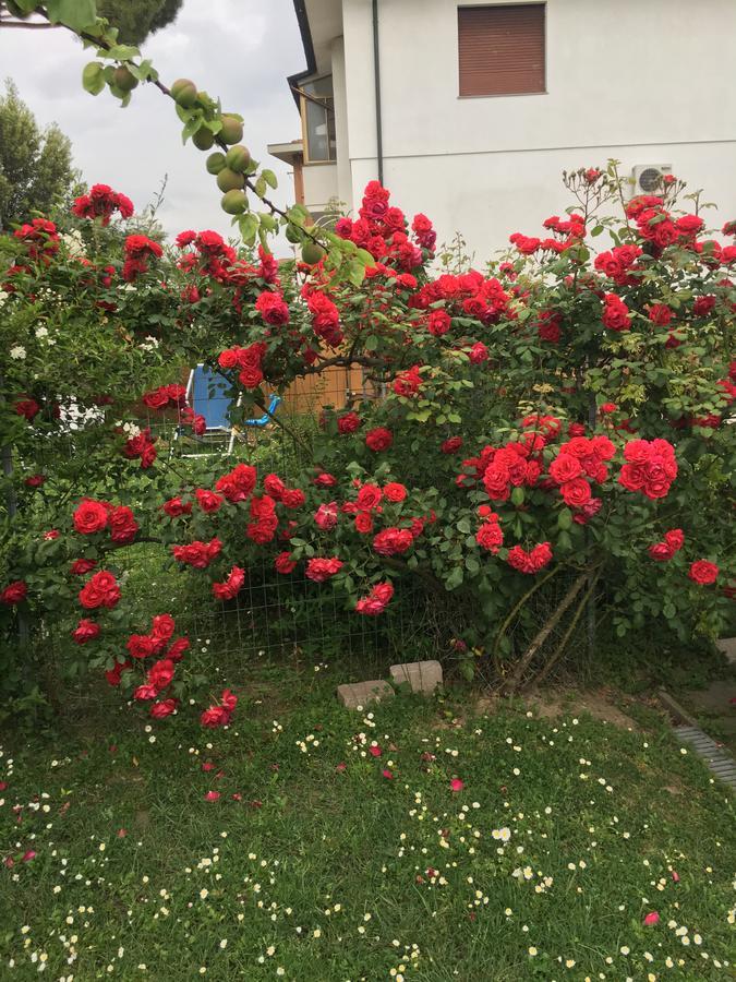 B&B Soleluna Pisa Dış mekan fotoğraf